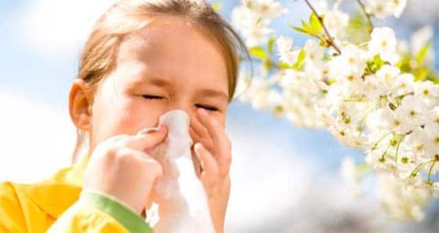 Alergias respiratórias:entenda