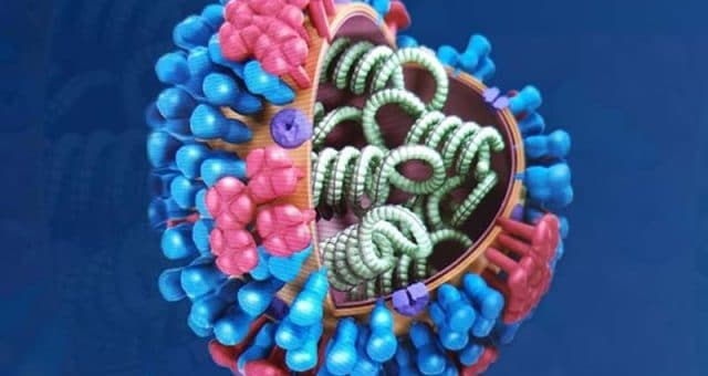 Quem deve tomar a vacina de gripe